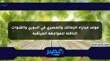 موعد مباراة الزمالك والمصري في الدوري والقنوات الناقلة للمواجهة المرتقبة
